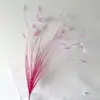 Capim Pampas Artificial Transfronteiriço com 12 Galhos para Decoração de Casa, Folhagem Falsa, Flores Artificiais, Capim Reed para Casamentos
