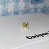 Oro Nuevo Colección de Clavos de Hueso de Oreja Acero de Titanio Tornillo Elegante Versátil Moderno Elegante Tornillo para Hueso de Oreja de Mujer