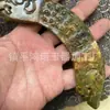 Ornamentos de Dragão Vintage Atacado Dragão de Jade Peças Grandes Dragão do Zodíaco Antigo Jade Velho Itens Populares para Transmissão ao Vivo e Dropshipping