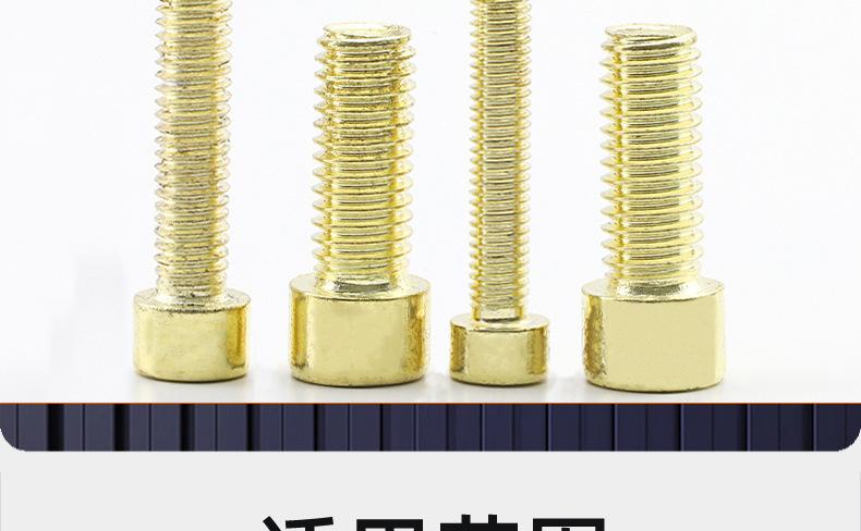 201不锈钢金色圆柱头内六角螺丝_03_20.jpg