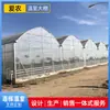Construcción de Invernadero Multispan, Invernadero para Flores, Cobertizo para Sombreo, Estructura de Invernadero, Tubo de Acero Galvanizado en Caliente, Invernadero para Cultivo de Verduras