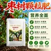 Fertilizante para Árbol de Azufaifo Fertilizante Especial Fertilizante Compuesto Orgánico Planta de Interior en Maceta Azufaifo de Invierno Azufaifo Rojo Fertilizante Nutritivo Gránulos de Liberación Lenta Envío Gratis