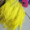Grama Barba de Dragão Eterna Pendurada Arroz Decoração de Casa Pendurada na Parede Planta de Rattan Decoração de Casamento Grama Aspargo Grama Pena Grama Barba de Dragão