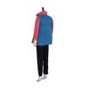 En Stock Disfraz Cosplay El Castillo Ambulante de Howl Conjunto Completo Sophie Cosplay Anime Japonés