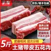 Toucinho de Porco Fresco com Pele, Porco Caipira, Carne de Porco Fresca Crua, Caixa Inteira de Toucinho de Porco Fresco Congelado, Toucinho de Porco Chinês