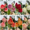 3 Cabezas de Rosas de Borde TostadoDos Flores Una Yema Decoración de Boda Accesorios para Pared de Flores Guía de Camino Fotografía Graduación Ramo de Mano