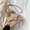 2022 Nuevo Bolso de Mujer Moda Trendy Bolso Cruzado de Mujer Bolso Pequeño de Mujer Bolso de Hombro Casual Simple Cierre de Marco Oblicuo Bolso Cuadrado Pequeño