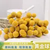 Ramo de flores secas con bola dorada fábrica de Yunnan al por mayor Amazon suministro transfronterizo ramo de flores secas con bola dorada