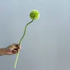 Flores Artificiais e Plantas Verdes, Flores de Cebola Falsas, Adereços Modernos Minimalistas para Sala de Estar e Casamento, Arranjos Florais
