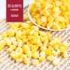Granos de Maíz Amarillo Glutinoso Pelados Nuoshi Noreste Frescos Congelados Pelados Dulces Glutinosos Granos Frescos y Tiernos de Germen de Maíz No Transgénicos