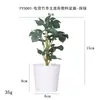 Más de 100 Tipos de Flores Artificiales y Plantas Verdes, Combinaciones de Plantas Artificiales en Maceta de Plástico, Flores Artificiales de Venta Caliente Transfronteriza, Mini Bonsáis Artificiales, Fuentes de Suministro