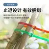 Bridas de Nylon Desprendibles, Retráctiles y Desmontables, Correas de Plástico de Colores para Atar en Jardinería, Clips Reutilizables