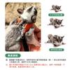 Cuerda de Tracción para Exteriores para Petauro del Azúcar, Chaleco de Seguridad Anti-Escape, Correa para Paseo de Mascotas Pequeñas, Especial para Petauro del Azúcar, Cómodo y Transpirable