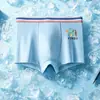 Ropa interior de malla de seda helada para niños, Boxer transpirable de tacto helado para verano con estampado de dinosaurios para niños mayores, Boxer para estudiantes