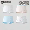 Roupa Íntima Infantil Feminina Algodão Classe A Fina Calcinha de Outono Roupa Íntima Infantil Feminina Bebê Algodão Boxer Crianças Maiores Não Prende pp