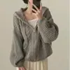 Cardigan de Tricô com Capuz e Zíper Duplo, Manga Longa, Casual, Solto, Torcido, Outono/Inverno Coreano, Jaqueta Suéter para Mulheres