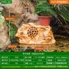 Altavoz de pared para jardín, parque, césped, resistente al agua, con enchufe, presión fija, resistencia fija, 20 W