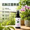 Solución nutritiva Dendrobium sin diluir promueve hoja verde clivia phalaenopsis cymbidium orquídea tinta planta araña solución nutritiva venta al por mayor