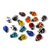 Cuentas de Cristal de Mariquita Siete Estrellas Transfronterizas Pulsera Hecha a Mano de Escarabajo de Puntos Accesorios de Materiales para Joyería DIY