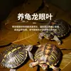 Paisajismo para Tanque de Tortugas, Plantas Verdes para Tanque de Tortugas, Plantas Acuáticas, Lechuga de Agua en Cultivo de Agua, Especial para Eliminar el Amarilleamiento, Desodorizar y Purificar el Agua para el Cuidado de Tortugas