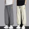 Pantalones de Hombre de Seda de Hielo Ultradelgados de Verano Casual de Negocios Pantalones Largos Pantalones Deportivos para Hombre Nuevo Verano 2026