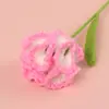 Ramo de Claveles Tejidos a Crochet de Lana Terminados Transfronterizos Flor Artificial Hecha a Mano Flor Tejida Día de la Madre Pequeño