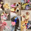Presilha de Cabelo de Pelúcia Desenho Animado Estilo Coreano, Presilha de Boneca Fofa para Franja, Nova Presilha Versátil para Franja, Acessório de Cabelo Fofo e Divertido