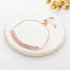 Cadeia de Garra Retrátil Simples Nova Transfronteiriça com Strass Pulseira Ajustável Joias Femininas Fabricante Fornecimento Pronto B234