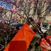 Nuevo Modelo de Herramienta para Recolectar Pimientos para Prevenir Lesiones en la Mano, Máquina Especializada para Recolección, Tijeras de Mano para Recolectar Pimientos, Azufaifos y Bayas de Goji