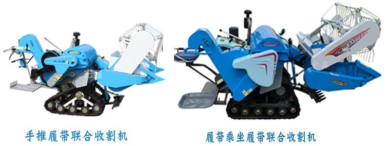 小联合蓝色详情