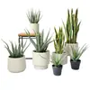 Planta artificial de aloe simulada nórdica, orquídea tigre falsa, suculentas tropicales, decoración para sala de estar interior, adornos para escaparates