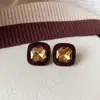 Pendientes Geométricos de Flor de Resina Transfronterizos Europeos y Americanos Otoplastias Maillard Otoño e Invierno Diseño Nicho de Gama Alta Joyería para Orejas Venta al por Mayor