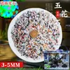 Arena de fondo para acuario, piedras decorativas, juego completo de piedras florales de lluvia ecológicas naturales, piedras luminosas y piedras en bruto