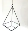 Base para Planta de Aire, Fertilizante Nido de Pájaro Erizo de Mar, Botella Atomizadora de Niebla Fina, Caja de Madera, Pegamento, Madera Natural, Arte en Hierro, Tamaño Grande, Tamaño Pequeño