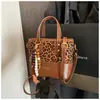 Bolso Cruzado tipo Cubo para Mujer, Tendencia Otoño e Invierno, Lujo Ligero, Moda de Gama Alta, Bolso de Hombro Único, Bolso de Mano Popular, Modelo Nuevo