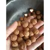 Almofada de Caroço de Noz de Pêssego Pequeno Selvagem, Sementes Soltas, Sementes Cruas, Almofada Cervical, Contas Soltas, Preenchimento de Matéria-Prima de Noz Pecã Pequena para Almofadas