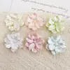 Parche de Resina de Flor de Cinco Pétalos Tridimensional Perlado Francés Material Adhesivo para Funda de Teléfono Móvil DIY Accesorios de Joyería de Flores Venta al por Mayor