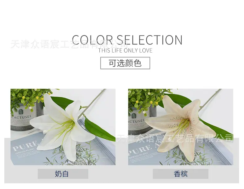 详情_02.jpg