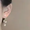 Brincos de Franja em Forma de Coração de Luxo Leve 2025 Novo Modelo Brincos Elegantes de Alta Qualidade Estilo Versátil da Moda Acessórios de Nicho de Celebridade da Internet
