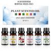 [Aceite Esencial de Aromaterapia para Muñeca de Yeso] Jazmín/Rosa/Lirio 10ml Aceite Esencial Vegetal