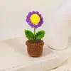 Flor de Ganchillo Hecha a Mano Planta en Maceta Producto Terminado Mini Flor de Simulación Adorno Regalo para Maestro Mejor Amigo Regalo de Cumpleaños Decoración