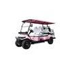 Carrinhos de Golfe, Veículos de Transporte de Passageiros de Aeroporto, Veículos de Recepção Turística, Carrinhos de Golfe Elétricos Transfronteiriços