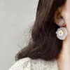 Nuevos Aretes Frescos Transparentes Rosas Pequeños de Primavera y Verano para Mujer Aretes de Resina Mate Flor Tejida Joyería para Orejas Pintura al Óleo