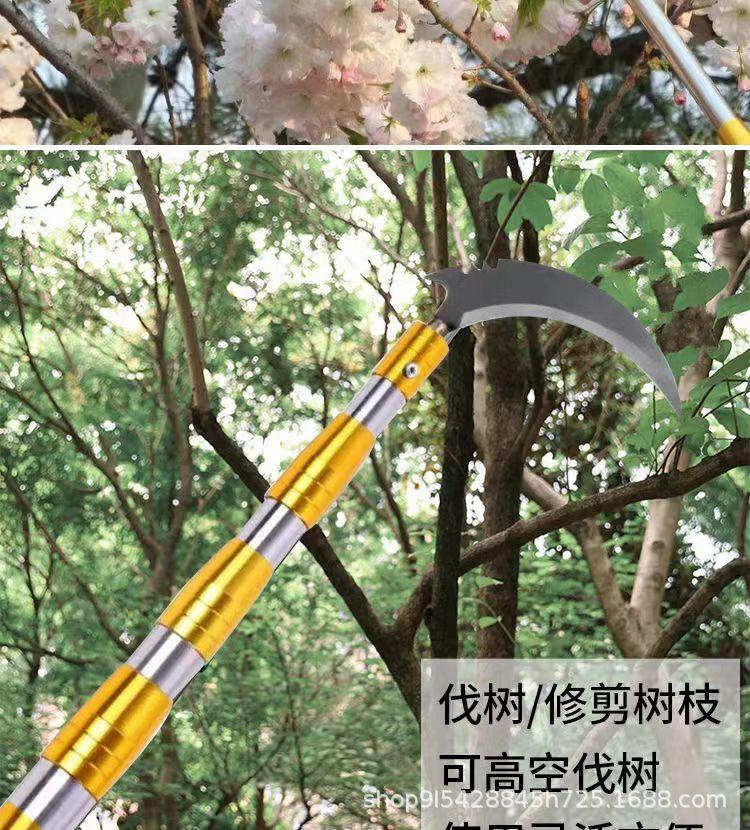 微信图片_202207150827319.jpg