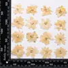 Feiyan Teñido, Kit de Materiales DIY de Flores Secas con Resina, Material para Pintura de Flores Secas Prensadas, Marcapáginas de Espécimen de Planta, Material de Flores Secas