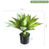 Suculenta Verde de Agave Simulada en Maceta Planta Verde Bonsái Decoraciones de Escritorio Adornos Tienda en Casa Ventana Paisajismo Plantas en Maceta