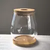 Florero de Vidrio Transparente Hidropónico Contenedor para Plantas Verdes Oficina Arreglo Floral Decoración de Escritorio Manualidades Suministro Transfronterizo