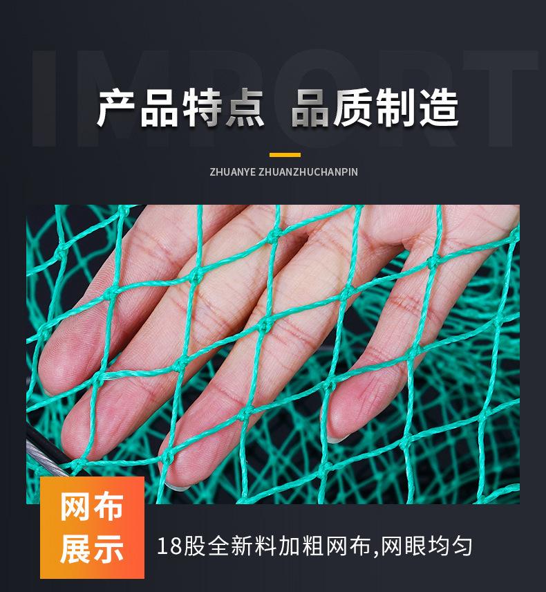 鱼护_08.jpg