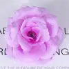8CM Cabeza de Rosa Venta al por Mayor Diseño de Pared de Flores para Boda Arreglo Floral Verde Halloween Tocado Flor de Tela de Seda Rosa