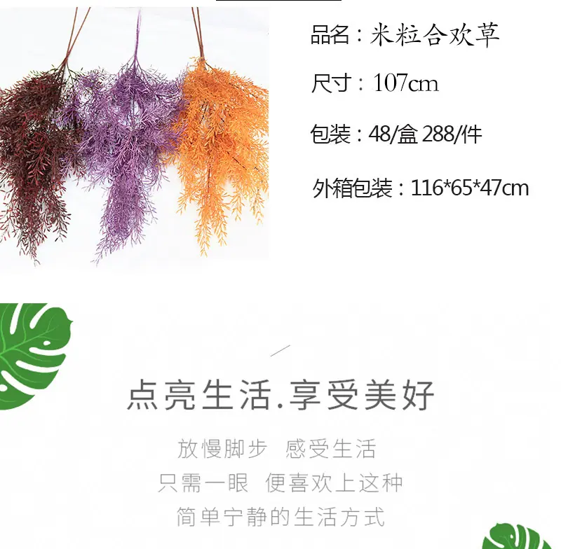 米粒草_02.jpg